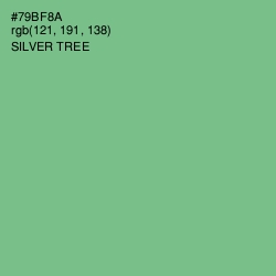 #79BF8A - Silver Tree Color Image
